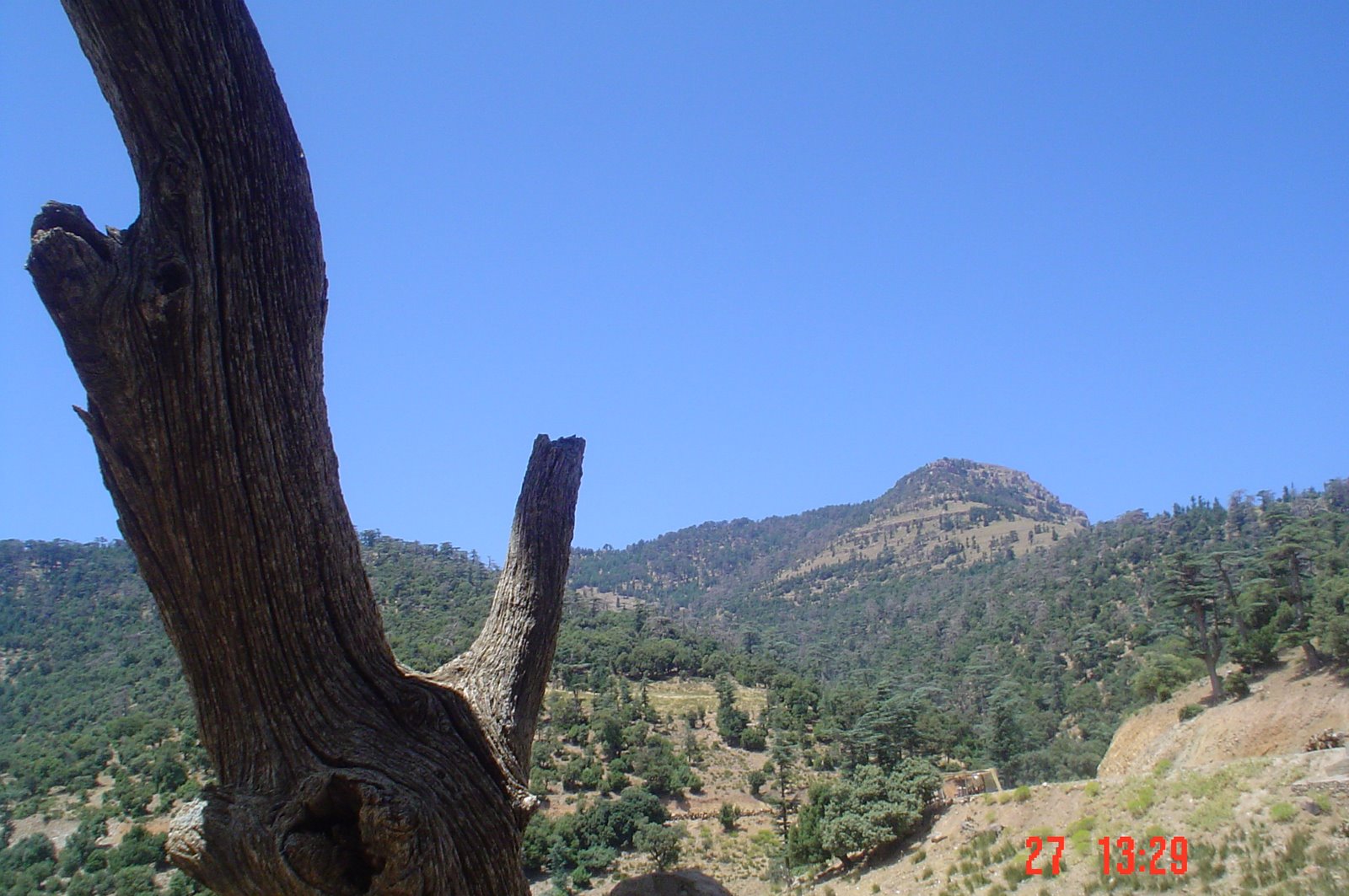 شليا منطقة سياحية باشجارها وانهارها ومناظرها الجميلة