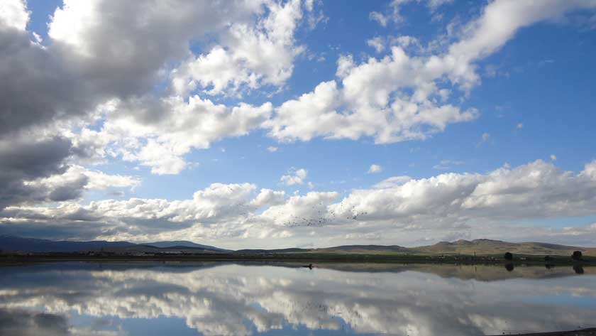 المحمل منظر جميل