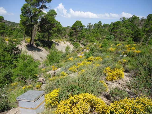 لمصارة بلدية تاريخية وسياحية بخنشلة