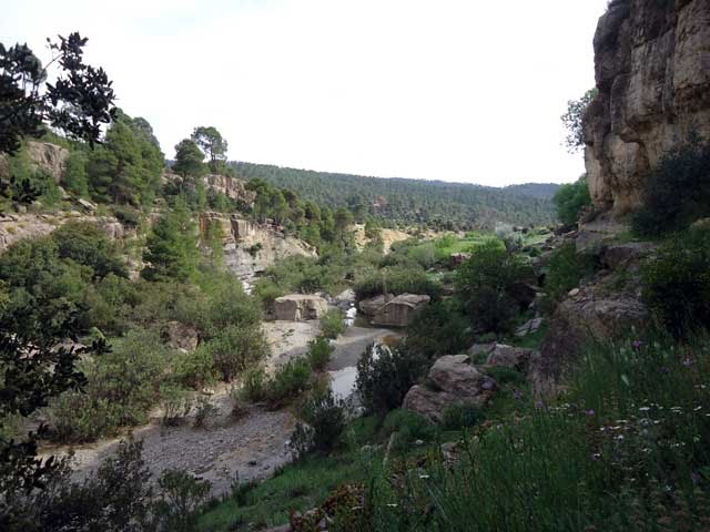 تيغزة لمصارة مناظر جميلة جدا تستحق الزيارة