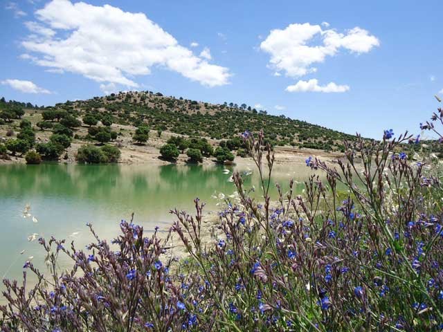 تيغزة لمصارة مناظر جميلة جدا تستحق الزيارة