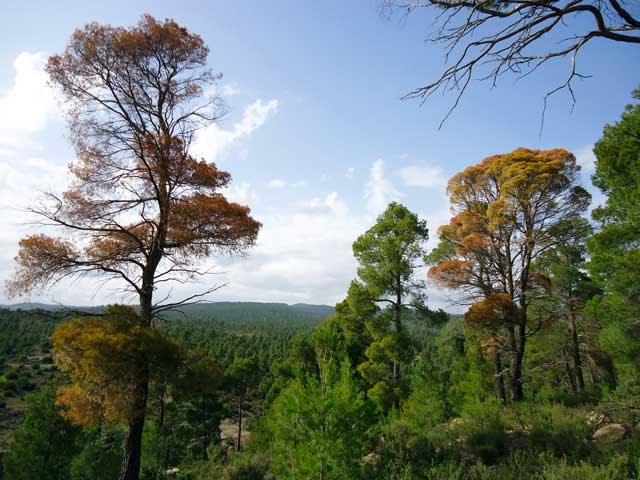 تيغزة لمصارة مناظر جميلة جدا تستحق الزيارة