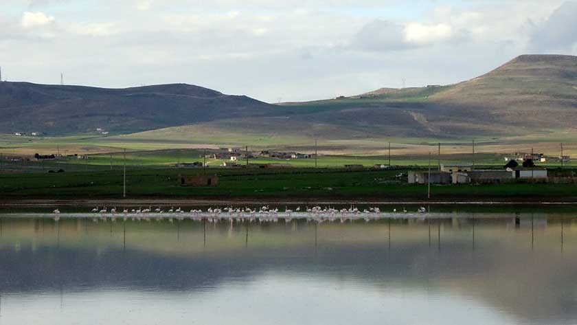 المحمل بلدية فلاحية سياحية زراعية بامتياز خنشلة