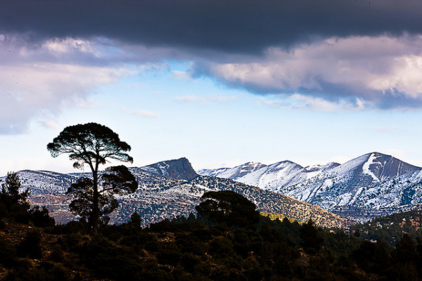 شليا في فصل الشتاء