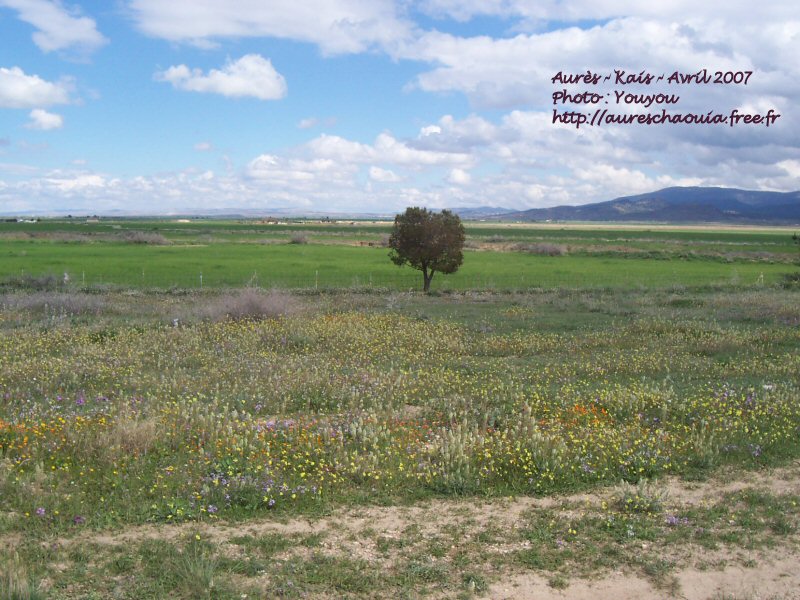 سهل الرميلة الفلاحي في فصل الربيع