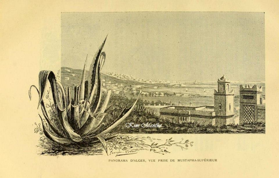Panorama d'Alger, Vue de Mustapha superieur, Vieux livre relatant l'Algérie