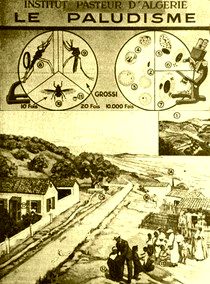 Affiche française de propagande coloniale (Algérie, Tunisie, Maroc)