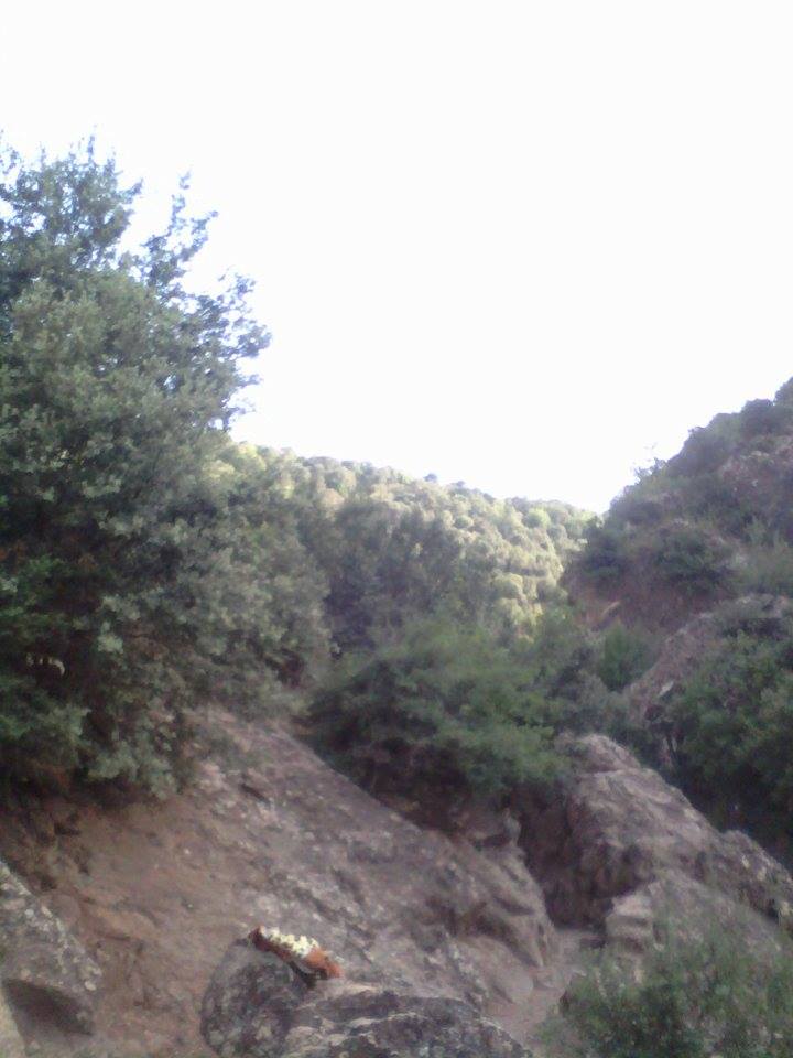 جبل شليا بالمكان المسمى الماء لكحل الكنتينة يابوس مناظر لا مثيل لها