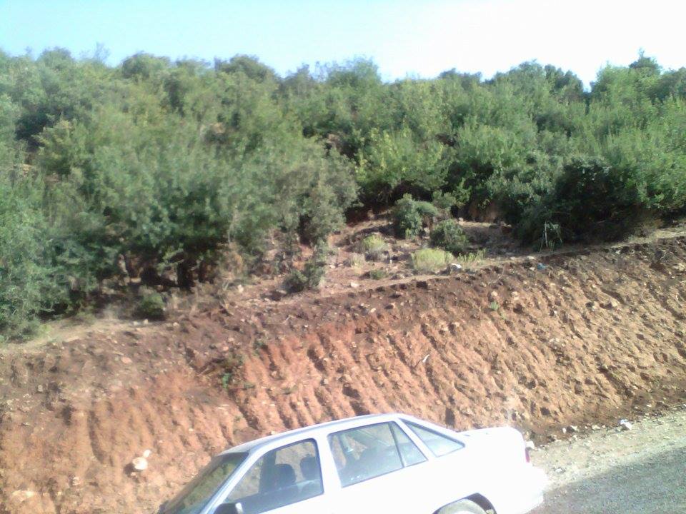 جبل شليا بالمكان المسمى الماء لكحل الكنتينة يابوس مناظر لا مثيل لها