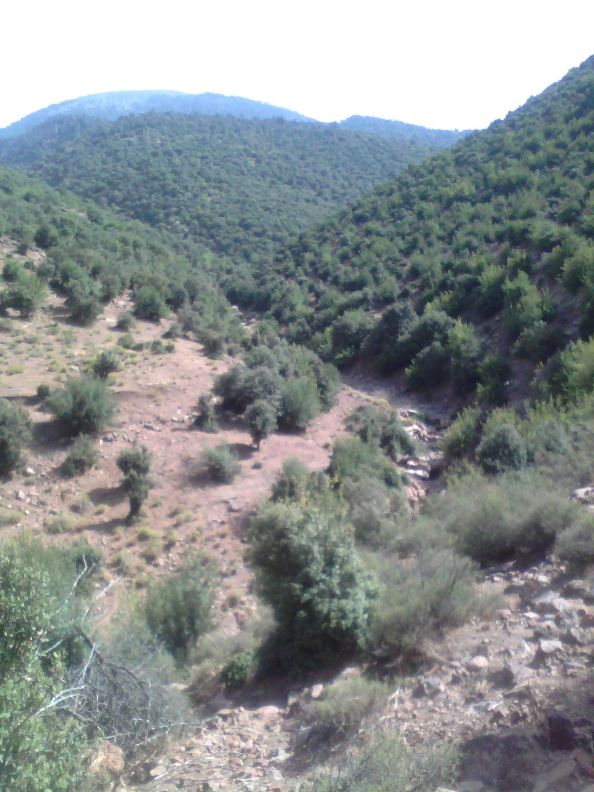 جبل شليا المكان المسمى الماء لكحل الكانتينة يابوس مناظر لا مثيل لها