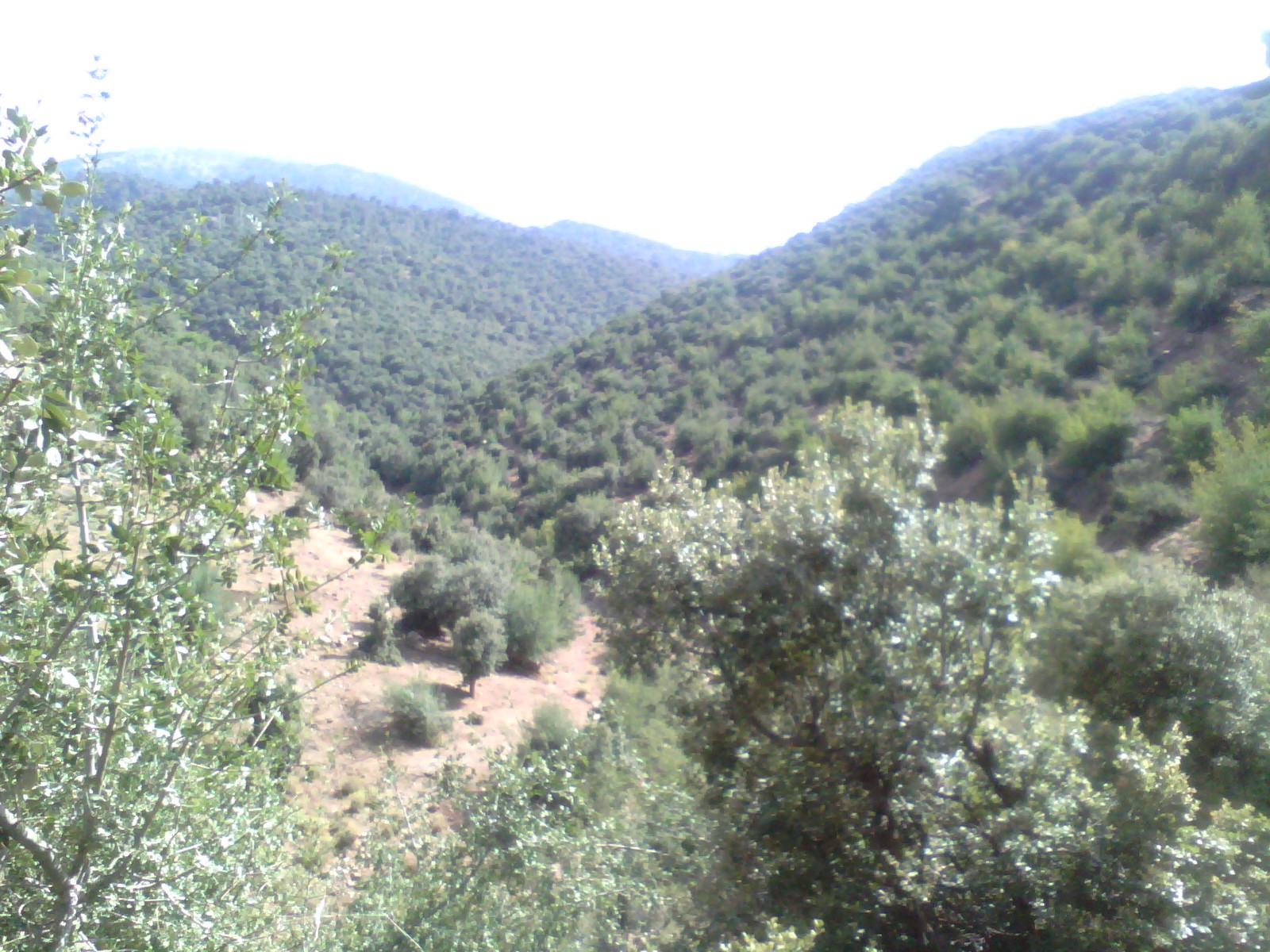 جبل شليا المكان المسمى الماء لكحل الكانتينة يابوس مناظر لا مثيل لها --تغيث--