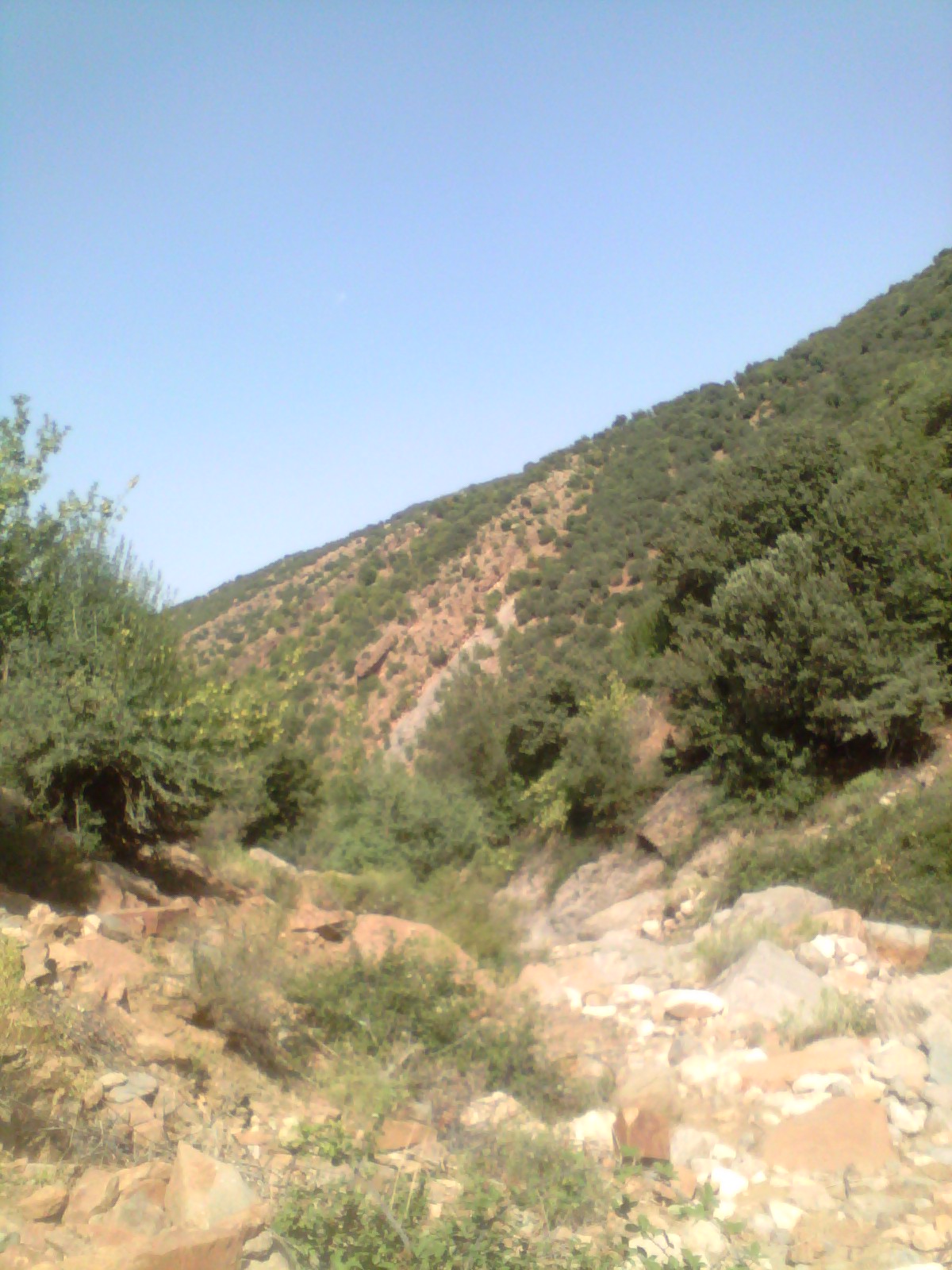 جبل شليا المكان المسمى الماء لكحل الكانتينة يابوس مناظر لا مثيل لها --تغيث--