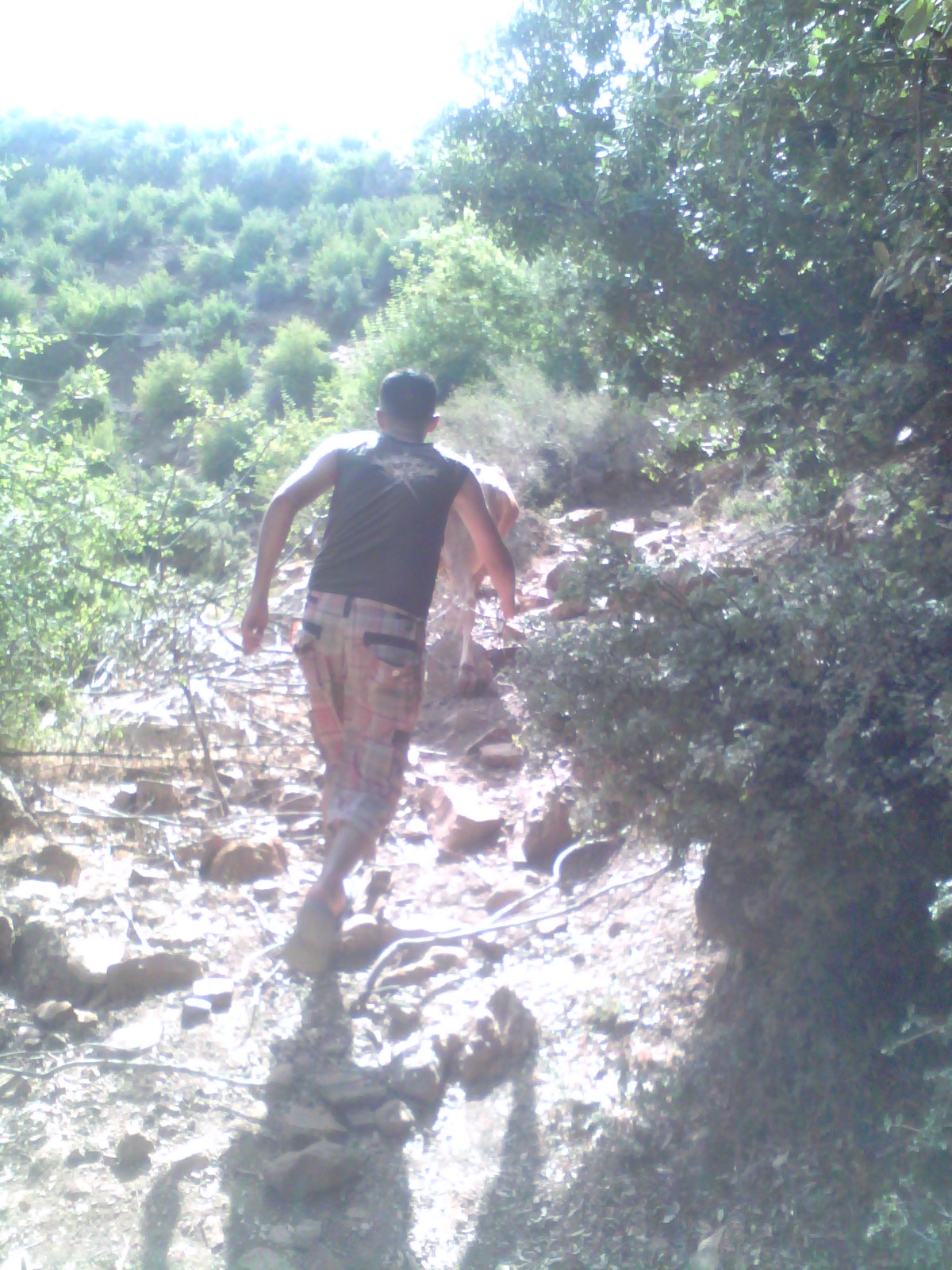 جبل شليا المكان المسمى الماء لكحل الكانتينة يابوس مناظر لا مثيل لها --تغيث--