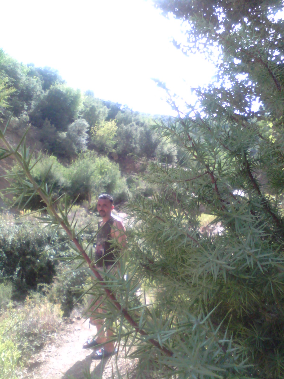 جبل شليا المكان المسمى الماء لكحل الكانتينة يابوس مناظر لا مثيل لها --تغيث--