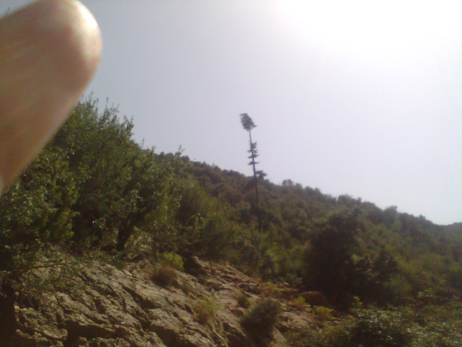 جبل شليا المكان المسمى الماء لكحل الكنتينة يابوس