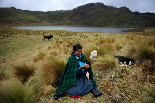 Planète - La résistance d'une famille péruvienne au projet Conga 
