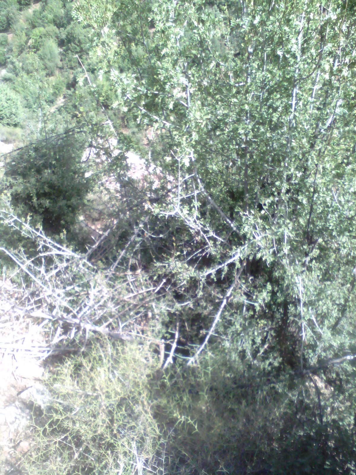 Les plus beaux endroits de Yabous EL Ma Lakhel El Kantina