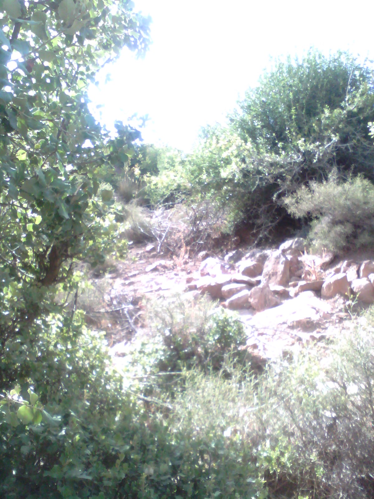 Les plus beaux endroits de Yabous El kantina