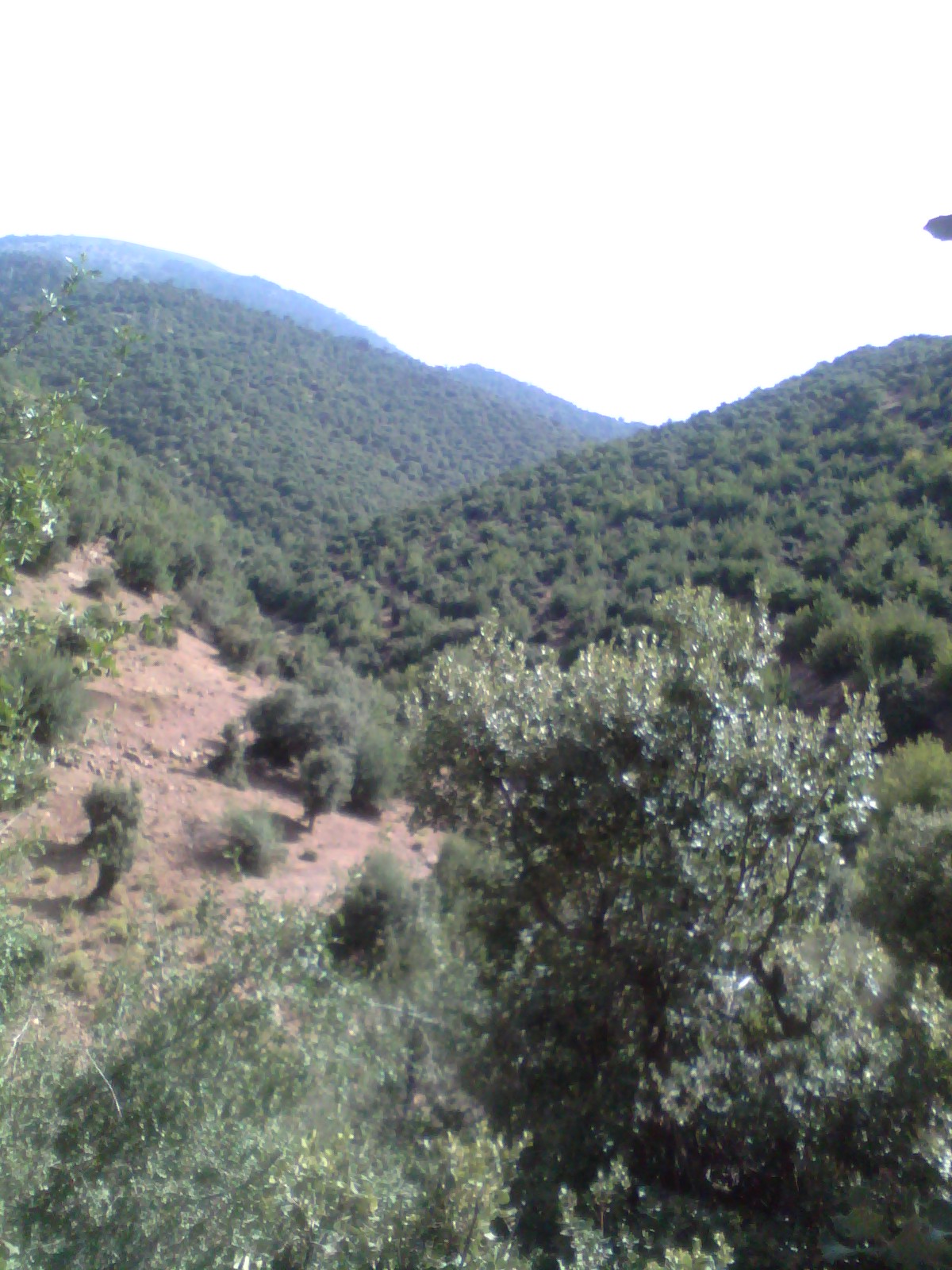 Les plus beaux endroits de Yabous El kantina