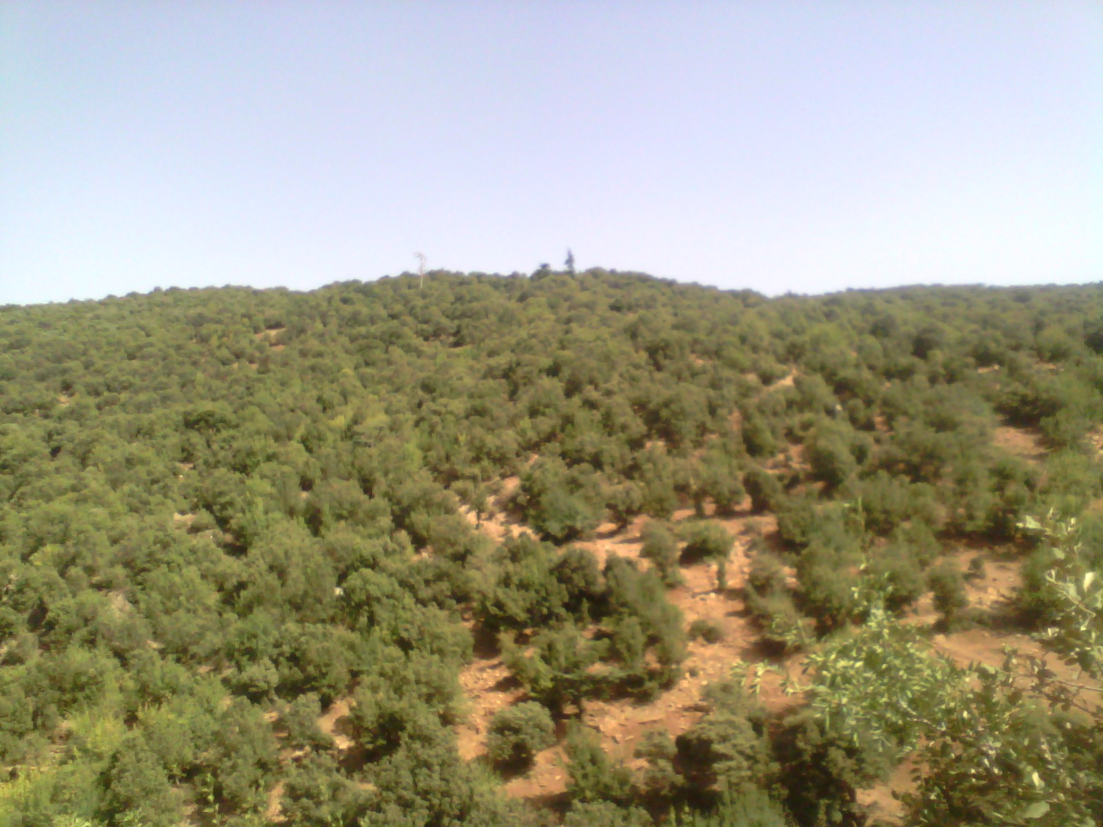 Les plus beaux endroits de Yabous EL Ma Lakhel El Kantina