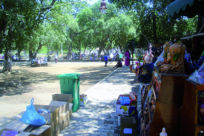 Parc animalier de Taza à Jijel:  Pique-nique à l’ombre d’un arbre