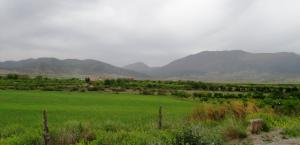 Les vacances  au Djebel Chélia  permettent de découvrir la montagne autrement…
