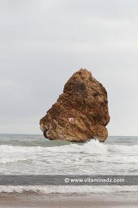 Porsay, Moscarda 1 (été 2014)