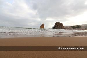 Port Say, Moscarda 1 (été 2014)