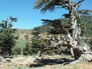 Les plus beaux endroits de Yabous Chélia