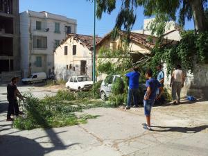 Constantine - Un grand bruit, de grosses branches d'eucalyptus cèdent...