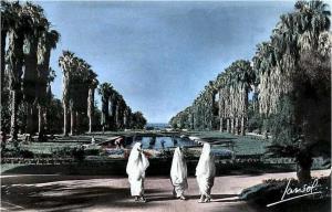 Ancienne photo d\'Alger  Jardin d\'essai