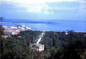 Ancienne photo d\'Alger  Jardin d\'essai