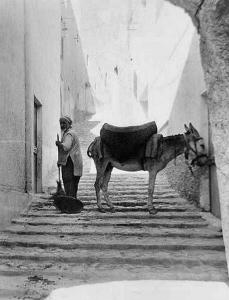 Ancienne photo d\'Alger  La Casbah