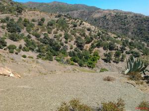 CES ENDROITS  QUI ME FONT RAPPELER  MON ENFANCE