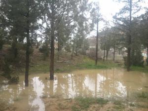 Yabous Wilaya de Khenchela