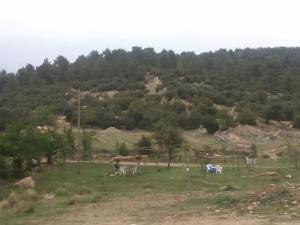 Boulazazen ou Aman Izouguaghène Yabous