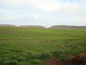 Marjat Yabous en plein printemps