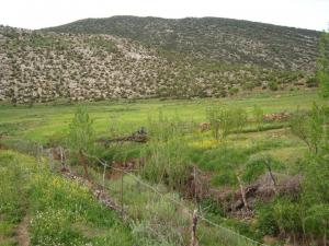 يابوس في فصل الربيع مناظر لا مثيل لها