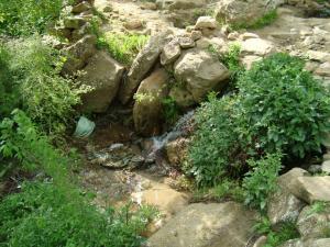 يابوس في فصل الربيع مناظر لا مثيل لها