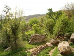 يابوس في فصل الربيع مناظر لا مثيل لها