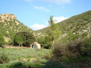 ZAOUIA de la famille Hasrouri à yabous