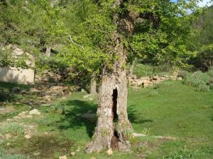 Le tourisme rural à Yabous