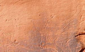 Gravures des lions rupestres  de l'Oued Remailia, Sidi Makhlouf, Laghouat.