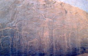 Dessins rupestre d'El Hasbaia à Lagouat