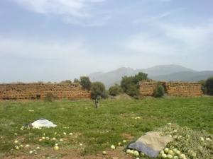 Timzizdekt, citadelle zianide de 1326