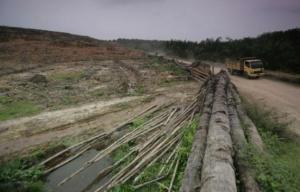Planète - Des lauréats du Nobel sonnent l'alarme sur l'état de la planète