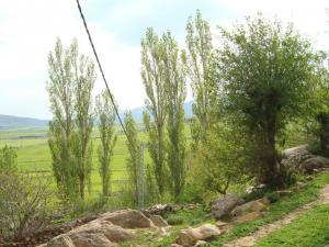 بوفجيغن الحاج عمار المدعو بوزاهر