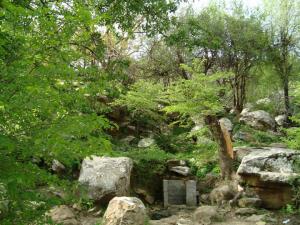 بيابوس جبال وسهول وغابات وطبيعة رائعة