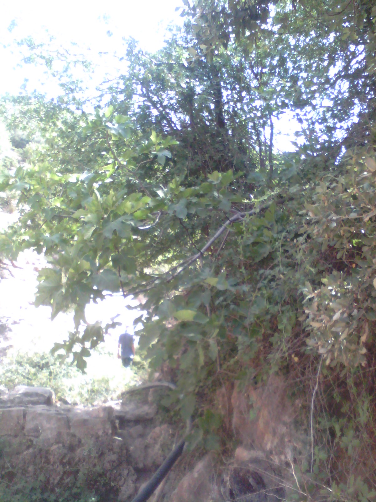 Vacances à Chélia ....El Kantina ....