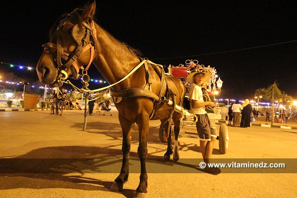 Parc de Lalla Setti, Enfant au Caleche